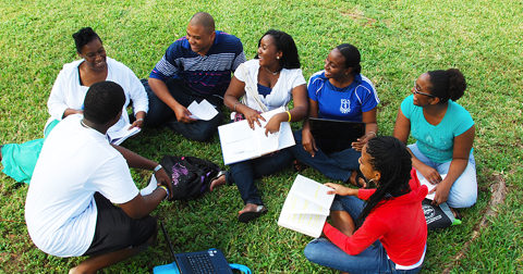 UWI Undergraduate